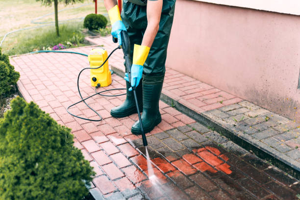 Animal Enclosure Cleaning in Robersonville, NC