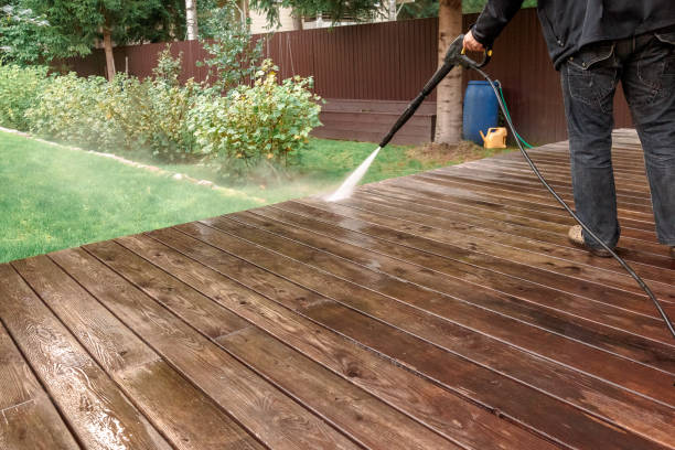 Best Soft Washing  in Robersonville, NC